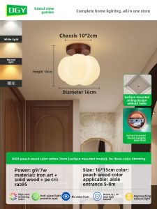 DGY | Warm Luxurious Atmophere Lighting Fixture