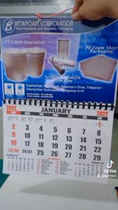 2025 YEAR OF THE SNAKE WALL CALENDAR