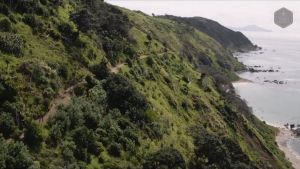 TIAKI Madu Manuka New Zealand UMF 10+ (250g)  TIAKI Manuka Honey New Zealand UMF 10+ (250G) MGO 261+ [EXP 03/2027]