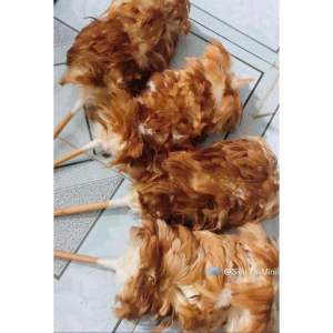 Chổi Lông Gà Mỹ Quét Bụi Loại Tốt - Cán Mây Lông Mềm Mại Dày Và Mượt Đầu Dài Chắc Chắn