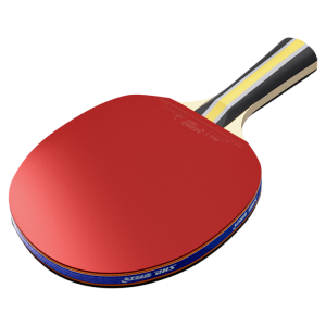 DHS | Student Use Professional Grade Ping Pong Racket