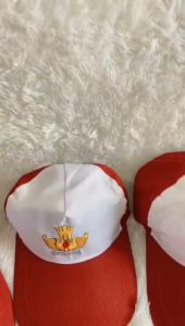 Topi SD - Topi Sekolah SD Merah Putih - Perlengkapan Sekolah Anak SD Laki Laki & Perempuan / P N
