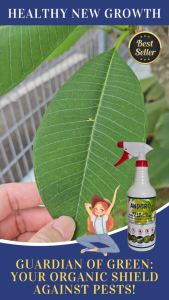 Neem Oil Organic Insecticide