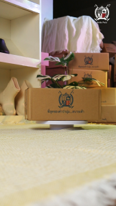 Hello Polo รองเท้าส้นสูงผู้หญิง พื้นหนา กันลื่นและทนทาน อ่อนนุ่ม เบาสบาย คลายเมื่อยเท้า วัสดุ EVA ไม่มีกลิ่น รุ่น HP8056