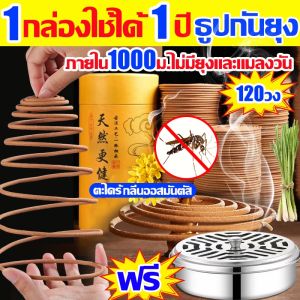 🦟ธูปฆ่ายุงตายทรงพลัง100%กลิ่นออสมันตัส🌸ยากันยุงแบบขด แท้มีอย.รับรอง ไม่มีอันตราย ธูปไล่ยุง ผลิตจากวัสดุธรรมชาติ ยากันยุงแบบธูปของ แบบขด120วง ธูปกันยุงสมุนไพร ฆ่าแมลง ธูปสมุนไพรไล่ยุง เช่นกัน ดับกลิ่นเหม็น ช่วยหลับ ยากันยุงแบบจุด12ชม ธูปไล่ยุงแท้