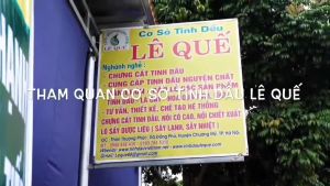 (Lê Quế) Tinh dầu vỏ bưởi Lê Quế Giảm rụng tóc kích thích mọc tóc Giảm stress Dưỡng da mờ nám tàn nhang Lọ 10ml Koshka Home