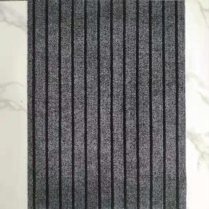 Water Absorbent Anti-slip Door Mat