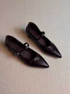 Pointed Toe Buckle Strappy Chunky Heel Mary Jane Womens Shoes