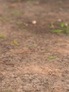 เสื้อผ้ารองเท้าแตะ KEEN 🔥UNEEK 🔥สีชาไทย 🔥สีขาว รองเท้าแตะ ช่องที่สีขาว ใส่ได้ชาย หญิง ส่งฟรี