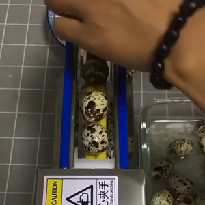 JD JINDIN Quail Egg Sheller Electric household portable egg shelling machine Suitable for all kinds of restaurants