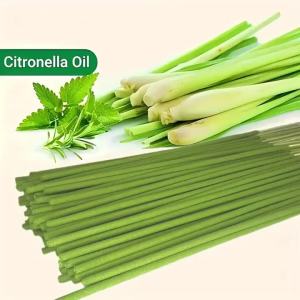 Que Tinh Dầu Sả Thời Gian Cháy Kéo Dài 45 Phút Hương Thơm Gỗ Nhân Tạo Dùng Cho Gia Đình Cắm Trại Ngoài Trời Thanh Lọc Không Khí Thư Giãn Trang Trí Ngày Lễ