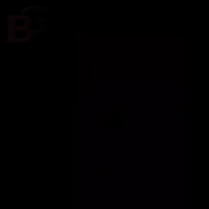 Beverly Hills Polo Club Sport Men 1 edt 100 ml