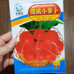 Hạt giống củ cải đỏ Anh Đào sinh trưởng nhanh củ đẹp -shop Yến Liên Beauty