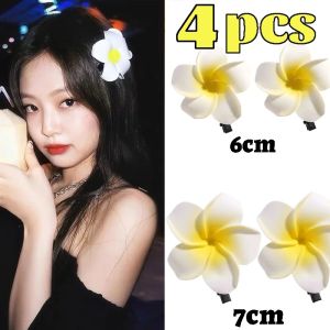 TikTok ร้อนดอกไม้เขตร้อนกิ๊ฟหนีบผมไข่ฮาวาย 4 ชิ้นกิ๊บติดผมชูดสัญชาติ Dai รูปหน้าที่ดีกิ๊บติดผมสำหรับหน้าม้าปิ่นปักผมปิ่นปักผมผู้หญิง