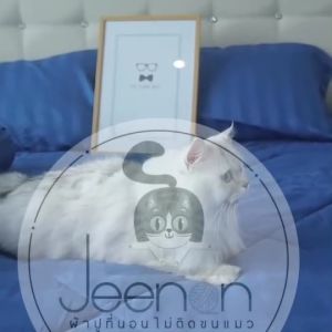 ผ้าปูที่นอนไม่ติดขนแมว ผ้าปูที่นอนไม่ติดขนสัตว์ มีทุกขนาด หมายเลข 3.5, 5, 6 ฟุต