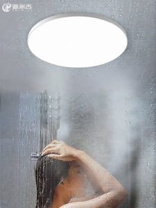 PAIMIJI | Waterproof Fogproof Ceiling Light