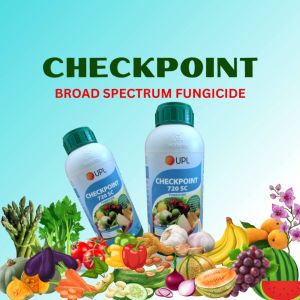 CHECKPOINT - BROAD SPECTRUM FUNGICIDE