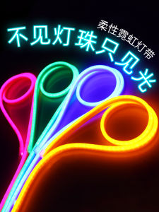 Flexible Fluorescent LED Neon Light Strip 220V Long Ambient Colorful Lighting for Outdoor Home Decor LEESA LS-D01 Model