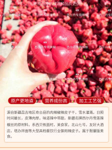 Xinjiang Special Product Sildan Thick Meat Snow Lotus Pepper Dried Four Flat Head Anji Seafood Snack Urumqi China 400g