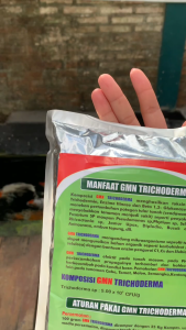 obat layu cabai GMN Trichoderma atasi layu fusarium pupuk layu cabe