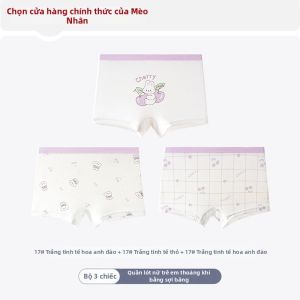 MiiOW | Quần Lót Góc Bốn Chống Khuẩn Icy Silk Cho Nữ