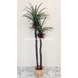 Pohon Hias Imitasi Pohon Dracaena Dragon Tree Pandan Bali X2 T160 Latex Cover Rotan Small Hiasan Dekorasi Rumah Cafe Studio Aesthetic