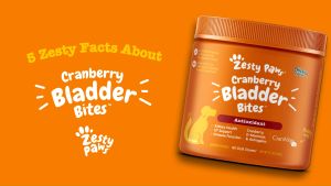 Zesty Paws Urinary Tract Bites for Dogs Antioxidant - Chicken Flavor (90 Soft Chews) (EXP:02 2027)