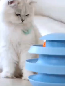 Cat Toy Balls Pet Toys Pet Family Toys