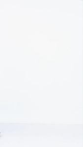 Couple Batik Wanita Modern Kemeja Pria Blouse Hem Manggis Batik Dua Putri-NENEK