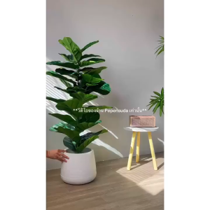 【2026 NEW】Artificial Plants With Wooden Flower Stand Small Fake Banana Leaves Tabletop Home Office Desk Decor
