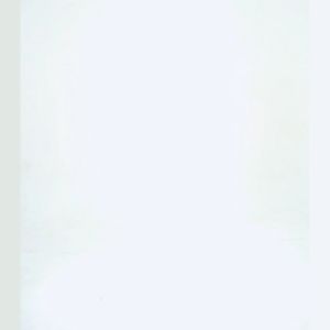 Flexzone Singlet Tanktop FSS-038 Gym Fitness Lari Powerlifting Sports