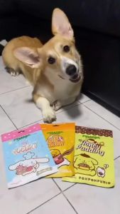 70g Prama Delicacy Dog Treats Snack All Stages Adult Puppy Dog Food Pet Essentials