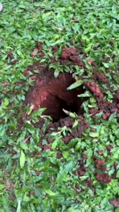 Pipa Biopori + Tutup PVC Diameter 4 Inch Panjang 20 Cm Untuk Resapan Air Tanah