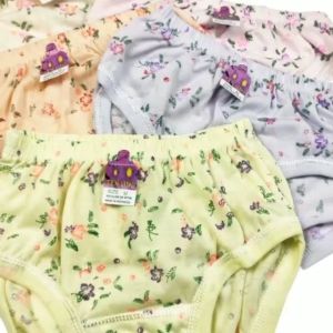 12 PCS CD Celana Dalam Wanita Cewek Dewasa Remaja Kasa Sablon Bunga Jumbo