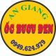Ốc bươu đen giống An Giang