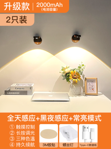 Rechargeable Spotlight Wireless Punch-Free For Home Wiring Free Decorative Painting Wall Lamp Entrance Door Plate Induction Lamp