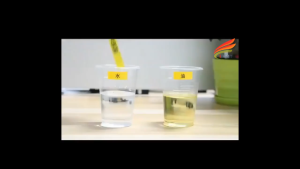 SG Stock Multi-Color Label Tape for Casio Printers 12/9mm x 8m Durable Waterproof Thermal Adhesive