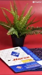 Giấy than Horse A4 ( 10 tờ ) - Kích thước 21x33 cm Xuất xứ Thái Lan