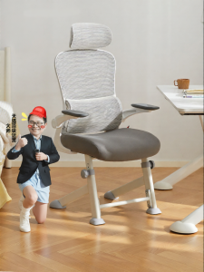 BOJOJAN | Ergonomic Study Chair for Teenagers and High School Students