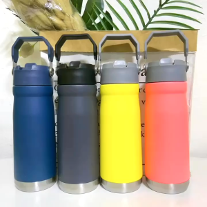 Shanshop 650ml new stainless steel hot and cold vaccum bottle tumbler with straw