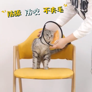 คอลล่ากันเลีย  ปลอกคอกันเลีย  คอลล่าแมว  ปลอกคอหมา  ปลอกคอแมว พลาสติก ลำโพงกันเลีย  ปลอกคอกันเลียแผล  สำหรับสัตว์เลี้ยง Pet Collar