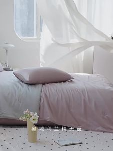shui yang | Luxurious Antimicrobial Summer Quilt Set 60 Count Lenzing Tencel