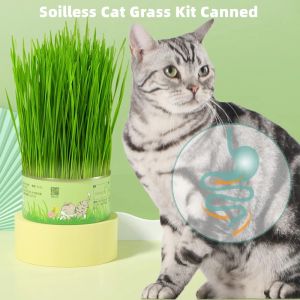 Canned Soilless Cat Grass Kit Canned Hydroponic Wheat Cat Treats Prevent Hairballs and Aid Digestion