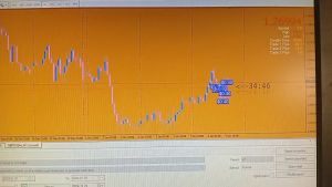 โปรแกรมระบบเทรดอัตโนมัติ Profit 8 direction