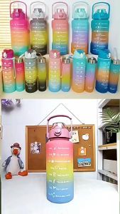 Combo 3 Bình Nước Nhiều Màu Sắc Dễ Thương Đáng Yêu Kèm Bộ Sticker Dán