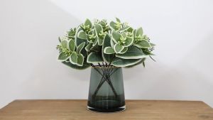 Artificial Eucalyptus Leaf Stems Fake Silver Dollar Eucalyptus Stems Branches Wedding Holiday Green Bouquet Decoration