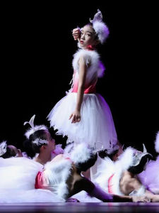 Twelfth Little Lotus Elegance Dance เครื่องแต่งกาย Puffy Princess กระโปรง สําหรับสาว Bird Sky Tribute ชุดประสิทธิภาพ