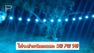 5W+สายไฟระย้า 1 เมตร มี 3 ขั้ว พร้อมหลอดไฟ 5W ไฟปิงปอง สายไฟขั้วระย้า เลือกสีได้ กันน้ำ ทนแดด