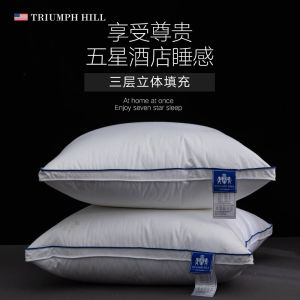 New Style White Goose Feather Pillow Backrest Non-allergic No Odor for Living Room Sofa Bedroom Home Decor Striped Pattern