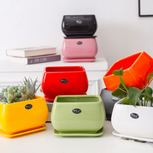 Chậu Hoa Gốm Chữ Nhật Lớn Có Đĩa Đựng Đơn Giản Chậu Hoa Cactus Hoa Lan Cây Xoan Cây Leo Xanh Nhà Trọ Vật Dụng Trang Trí